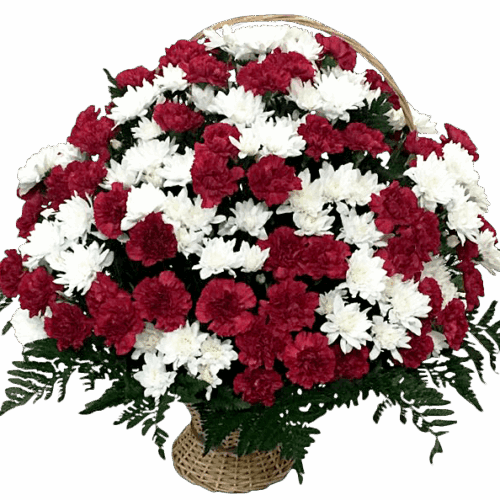 import placeholder for 1112